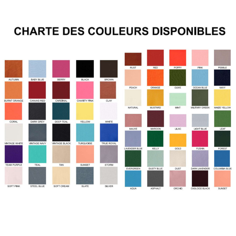 Chandail brodé Unisexe ''Scinque''