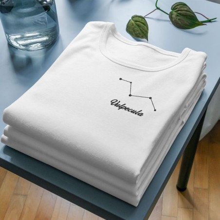 Embroidered Women's Shirt ''Vulpecula''